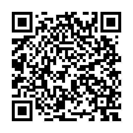 QR code for N2S741