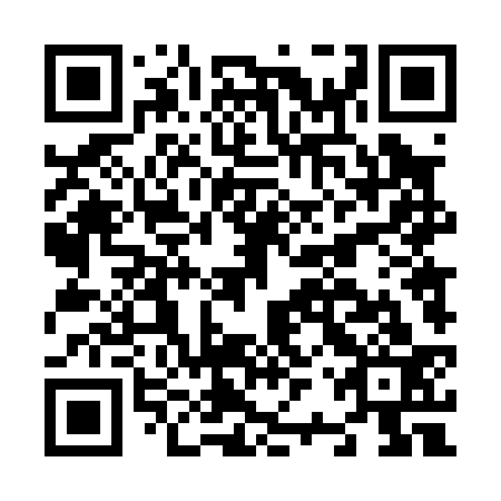 QR code for N2T 033