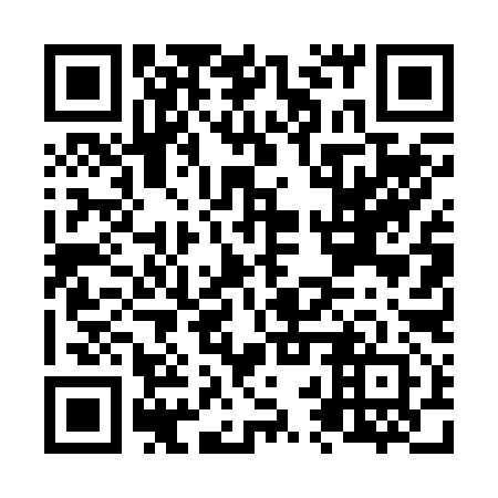 QR code for N2T 292