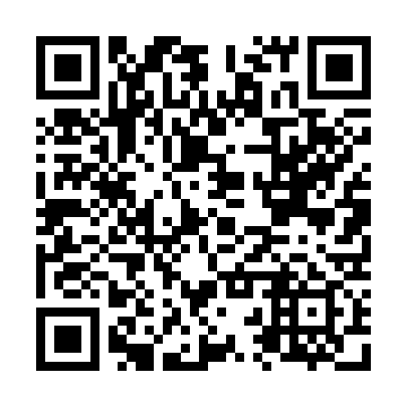 QR code for N2T 339