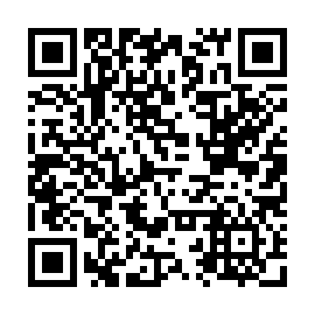 QR code for N2T 386