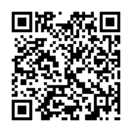 QR code for N2T 390