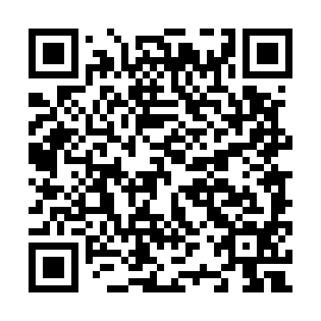 QR code for N2T 594