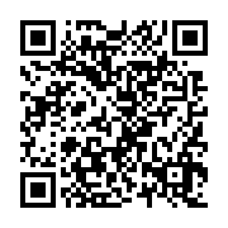 QR code for N2T 736