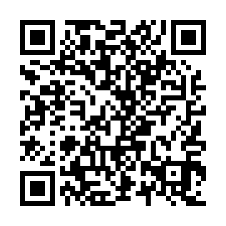 QR code for N2T011