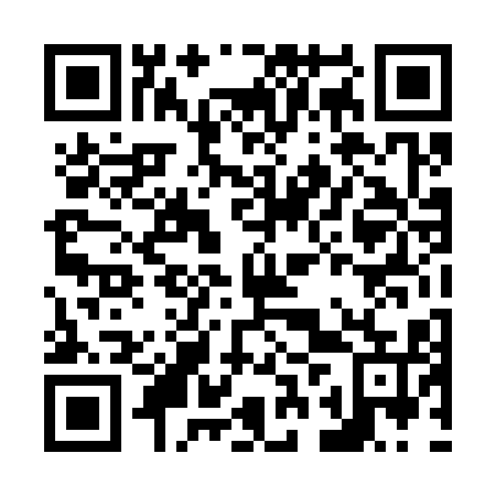 QR code for plate N2T 315