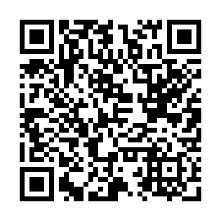 QR code for N2T338