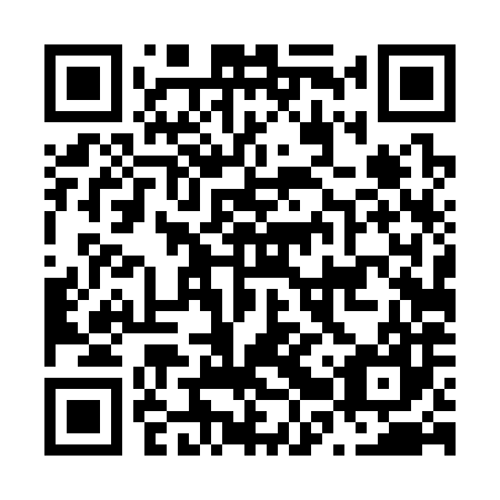 QR code for N2T387