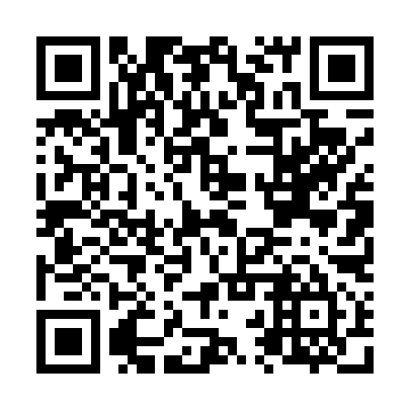 QR code for plate N2T 495