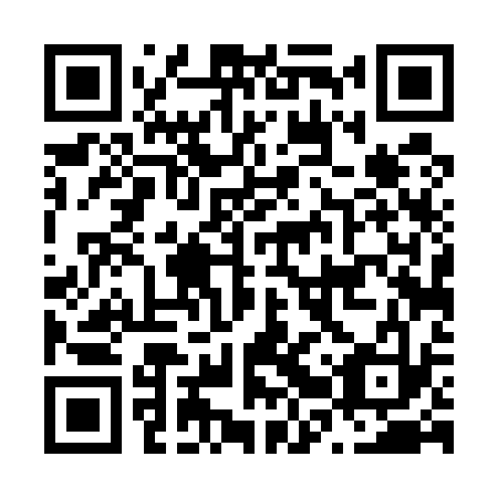 QR code for plate N2T 533