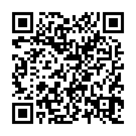 QR code for plate N2T 863