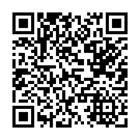 QR code for plate N2T 976