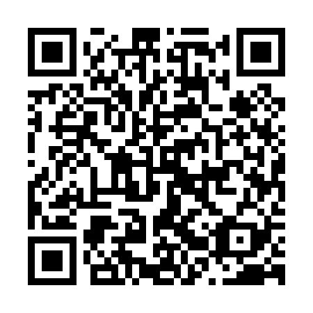 QR code for N2U 029