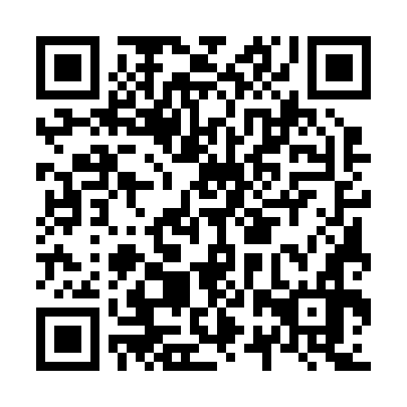 QR code for N2U 276