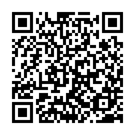 QR code for N2U 382