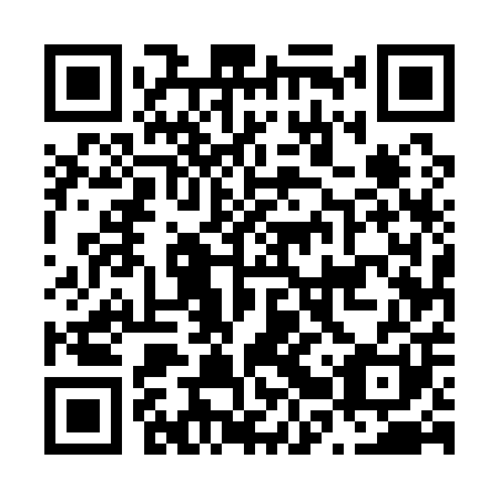 QR code for plate N2U 101