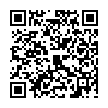QR code for N2U273