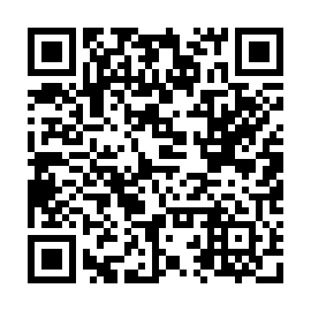 QR code for plate N2U 301
