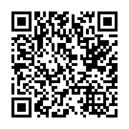 QR code for plate N2U 461