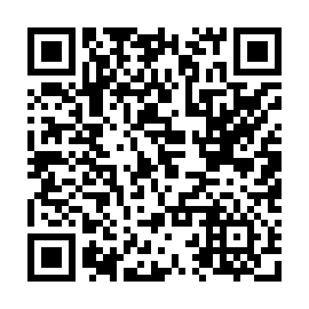 QR code for plate N2U 816