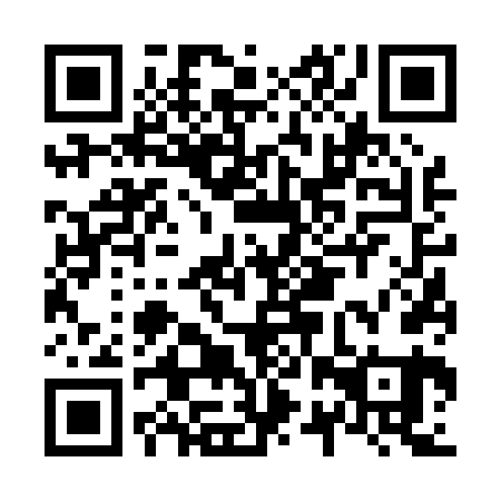 QR code for N2V 061