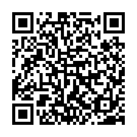 QR code for N2V 233
