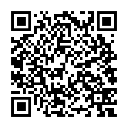 QR code for N2V 339