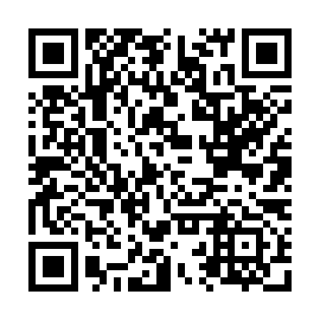 QR code for N2V 393