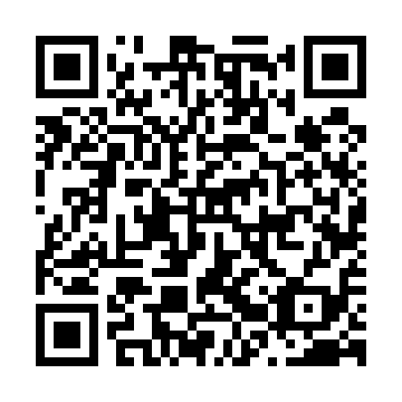 QR code for N2V 519