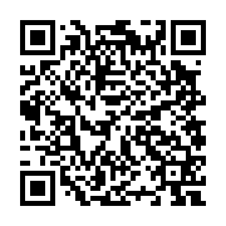QR code for N2V060