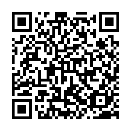 QR code for N2V320
