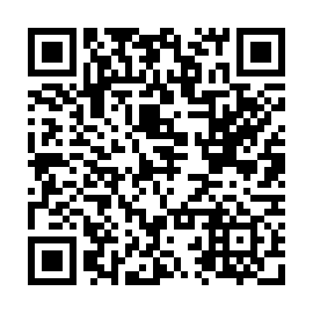 QR code for N2V379