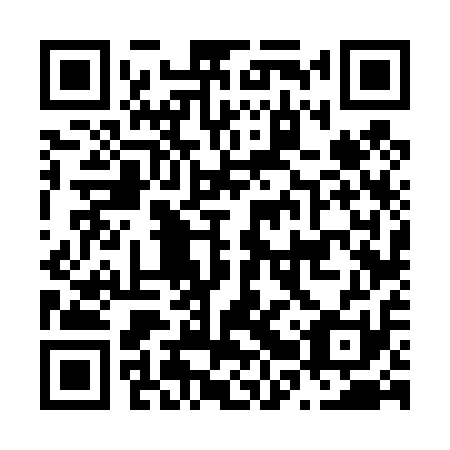 QR code for plate N2V 411