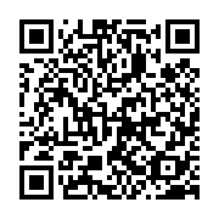 QR code for plate N2V 478