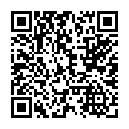 QR code for N2W 295