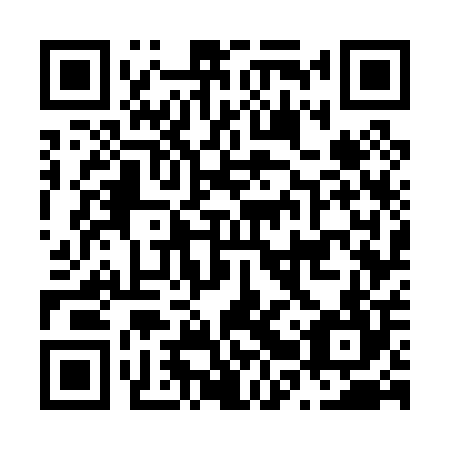 QR code for N2W004