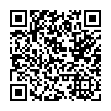 QR code for N2W119