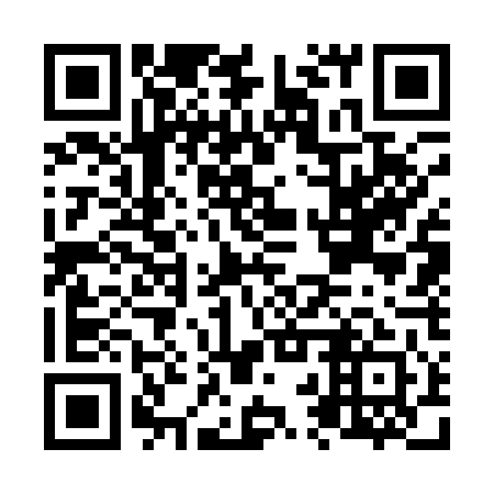 QR code for plate N2W 141