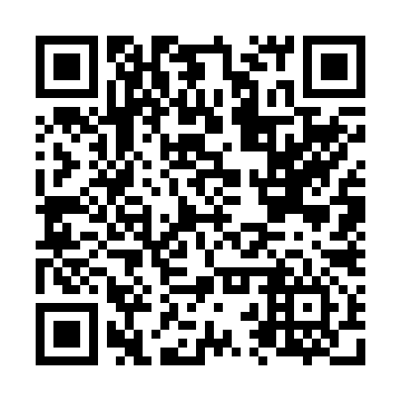 QR code for N2W296