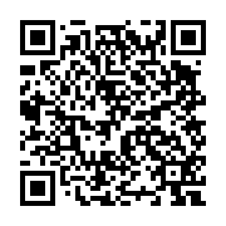 QR code for N2W412