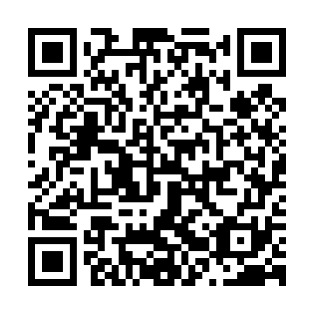 QR code for N2W471