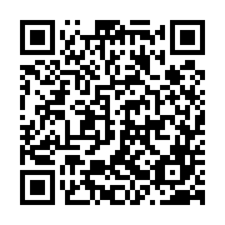 QR code for N2W546