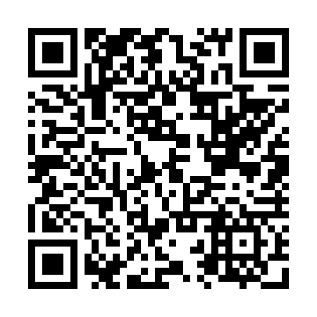 QR code for N2W667
