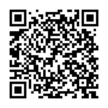 QR code for plate N2W 701