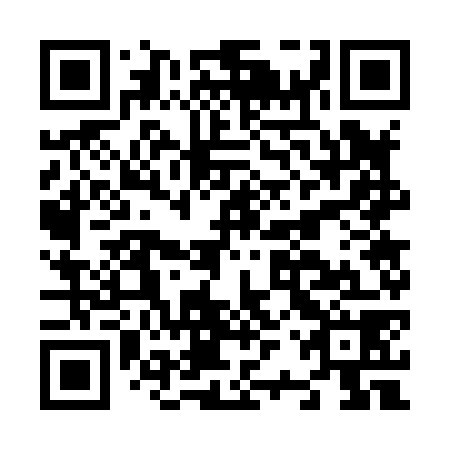 QR code for N2W878