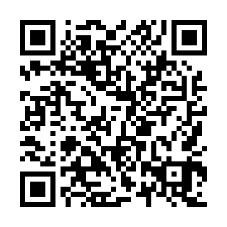 QR code for N2X 041