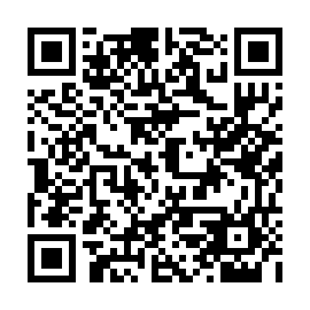 QR code for N2X 266