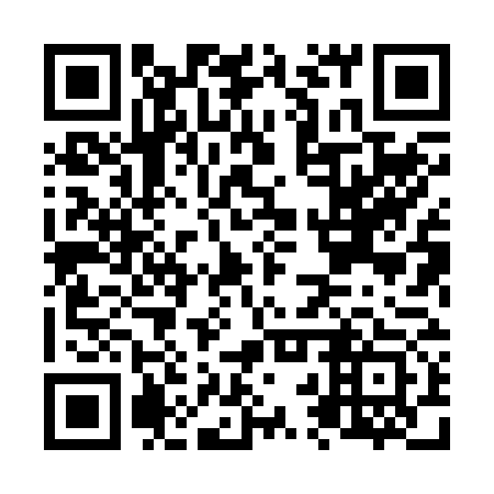 QR code for N2X 273