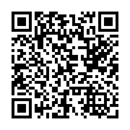 QR code for N2X 311
