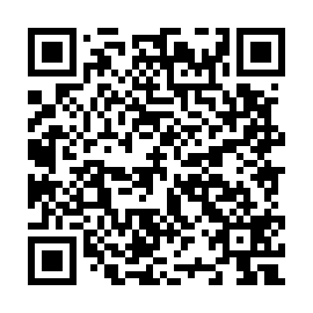 QR code for N2X 519